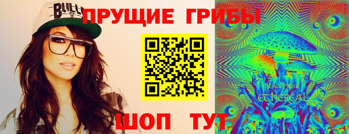 Орёл  дарнет шоп  Вход с VPN  Псилоцибиновые грибы MAGIC MUSHROOMS  Псилоцибиновые грибы Cubensis 