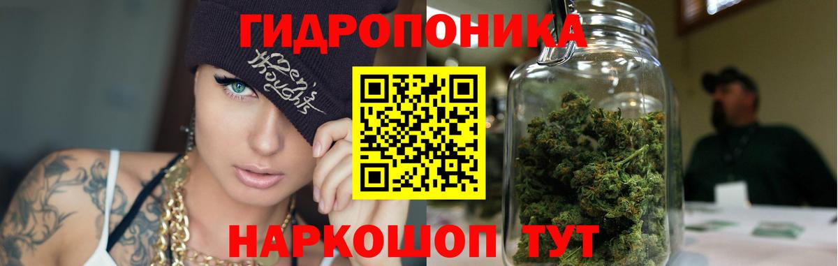 Каннабис гибрид Орёл